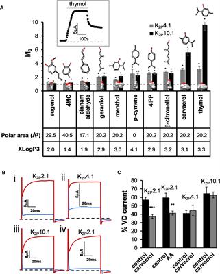 Monoterpenes Differently Regulate Acid-Sensitive and Mechano-Gated K2P Channels